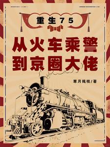 重生75从火车乘警到京圈大佬视频