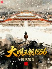 大明王朝1556解析