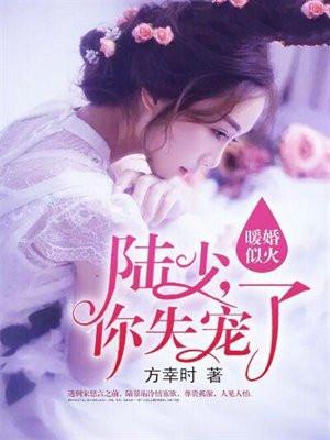 暖婚入骨陆少宠妻