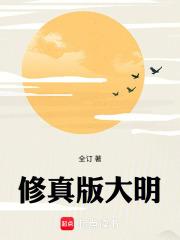 修真版大明笔趣阁在线
