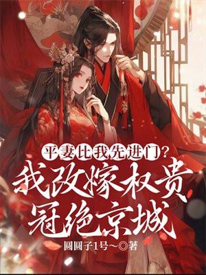 啥叫平妻