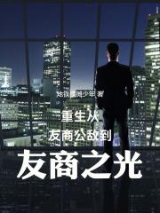 重生从友商公敌到友商之光3q