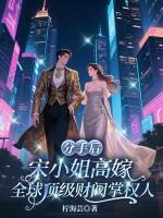 宋小姐闹离婚电视剧 宋小姐闹离婚电视剧