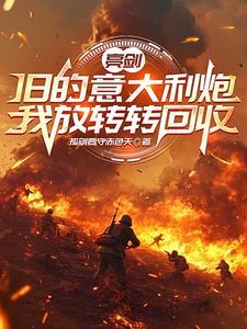 亮剑里的意大利炮是什么炮