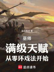 巫师满级加点 巫师满级加点