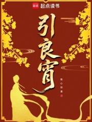 引良宵我心则喜 引良宵我心则喜