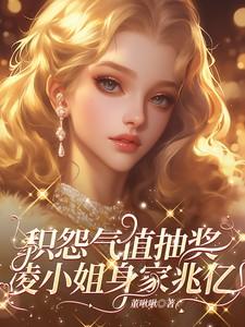 积怨气值抽奖凌小姐身家兆亿TXT