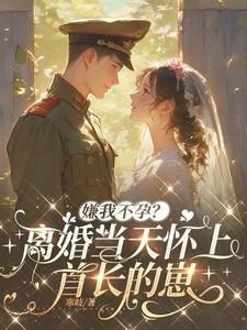 第一章离婚第二章怀孕 第一章离婚第二章怀孕