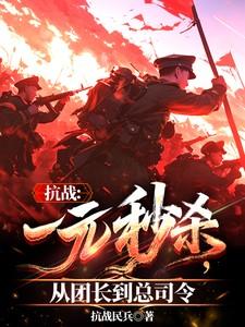 抗战一元秒杀从团长到总司令合集