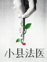 小县城法医