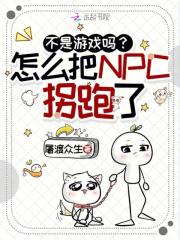 npc非游戏玩家