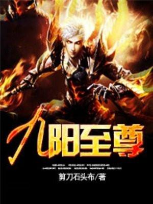 九阳至尊问天详细介绍