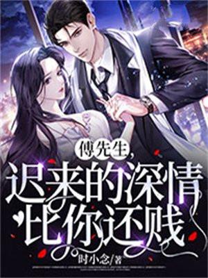 傅先生许你情深未晚免费阅读