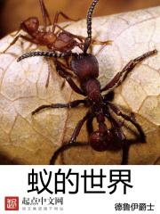 蚁的世界最新章节 笔趣阁全本