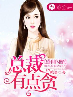 盛世闪婚总裁有点贪要了女主