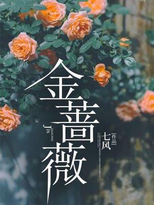 金蔷薇是什么书