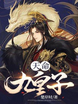天命九皇子夏极
