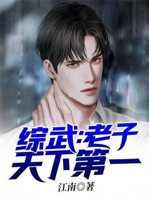 综武老子天下第一(江南)