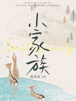 小家族崛起玄幻