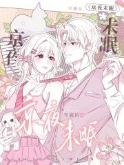 京夜未眠晋江