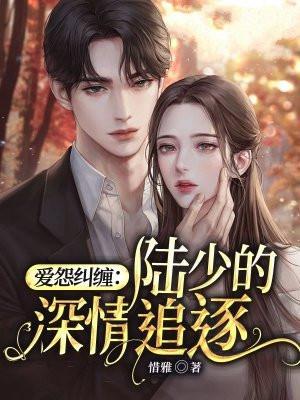 爱怨纠缠陆少的深情追逐 惜雅