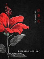扶桑花英文