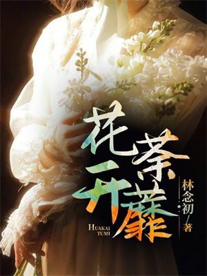 花开荼蘼有时无声电视剧