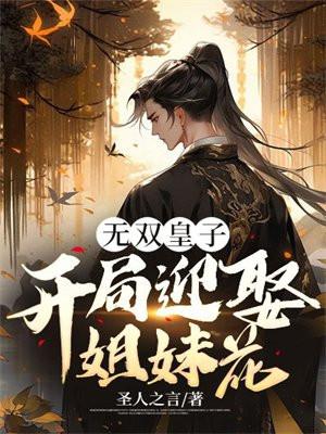无双皇子5200
