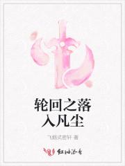 轮回之结