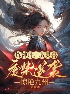 炼丹炼器驭神兽