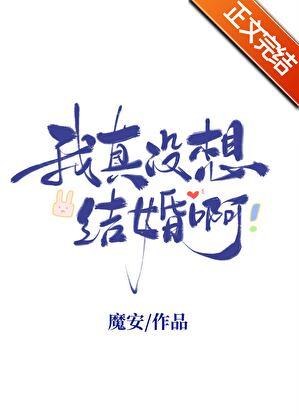 我真没想结婚啊司念陆