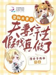 塑料夫妻闯荒年全集在线看