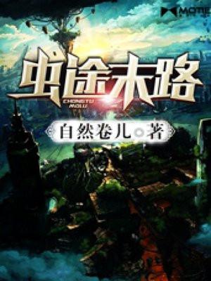 枪途末路汉化版