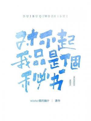 对不起，我只是个秘书+番外
